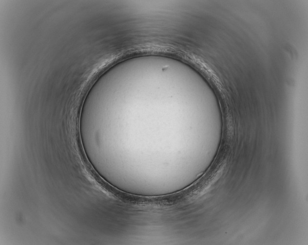 X0000111670625200907311159