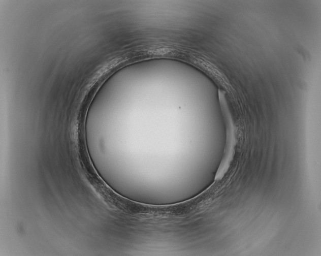 X0000111670626200907311159