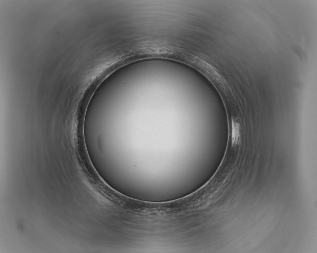 X0000111670627200907311159