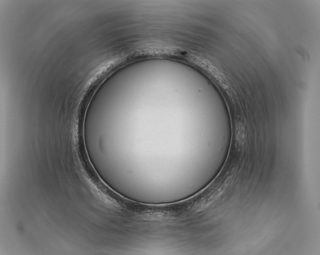 X0000111670629200907311159