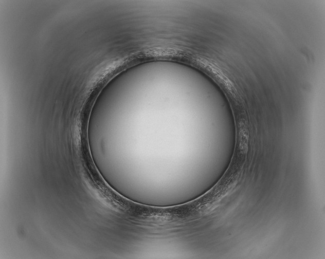 X0000111670631200907311159