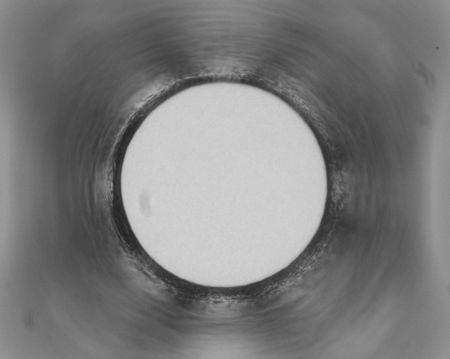 X0000111670632200907311159