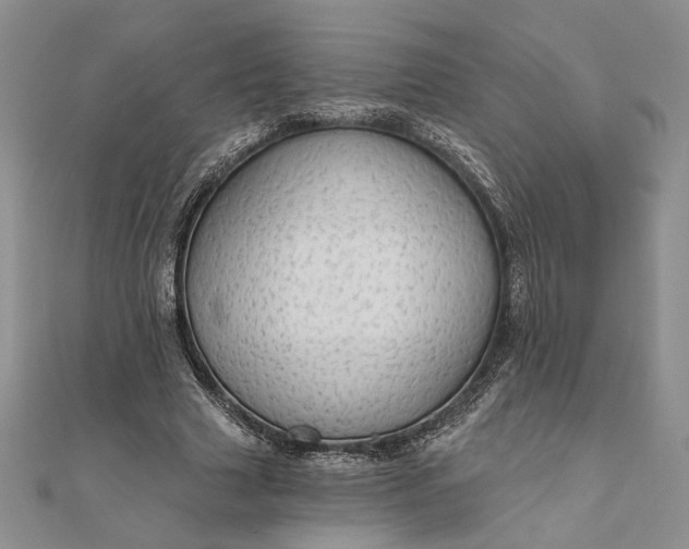 X0000111670633200907311159