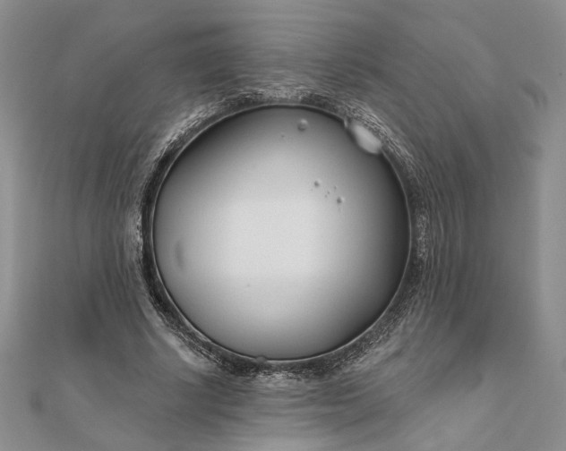 X0000111670634200907311159