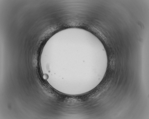 X0000111670635200907311159