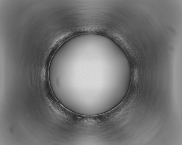 X0000111670636200907311159