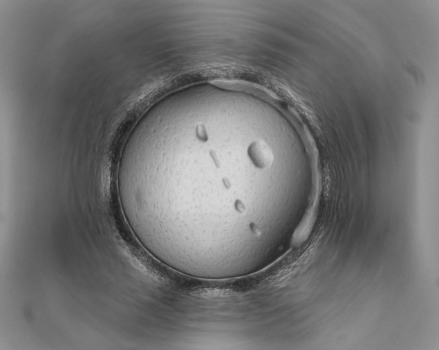 X0000111670637200907311159