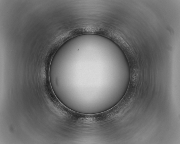 X0000111670639200907311159