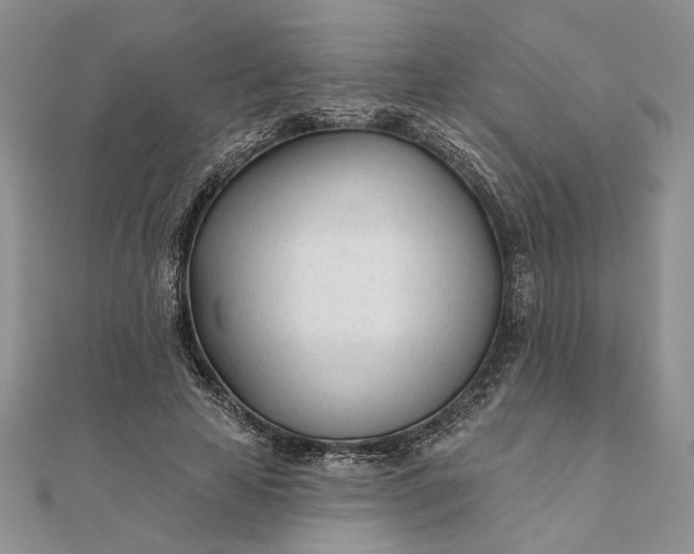 X0000111670641200907311159