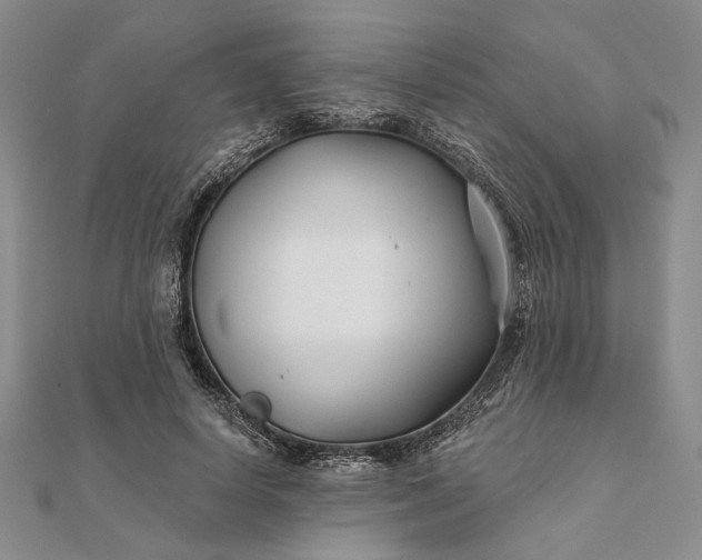 X0000111670642200907311159