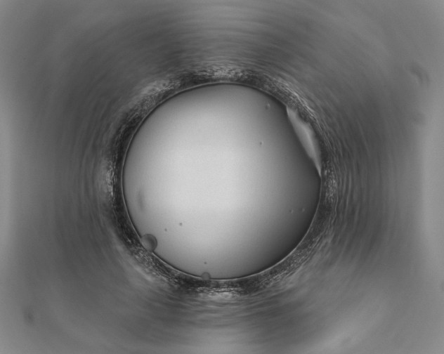 X0000111670643200907311159