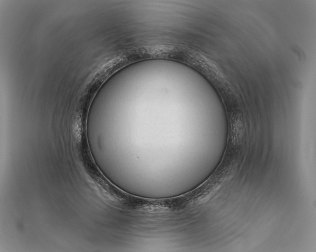 X0000111670644200907311159