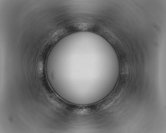 X0000111670646200907311159