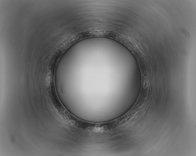 X0000111670647200907311159