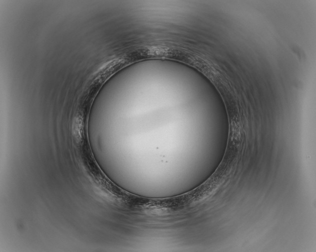 X0000111670648200907311159