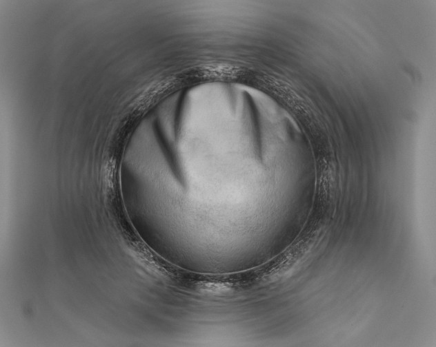 X0000111670649200907311159