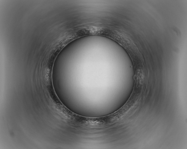 X0000111670650200907311159