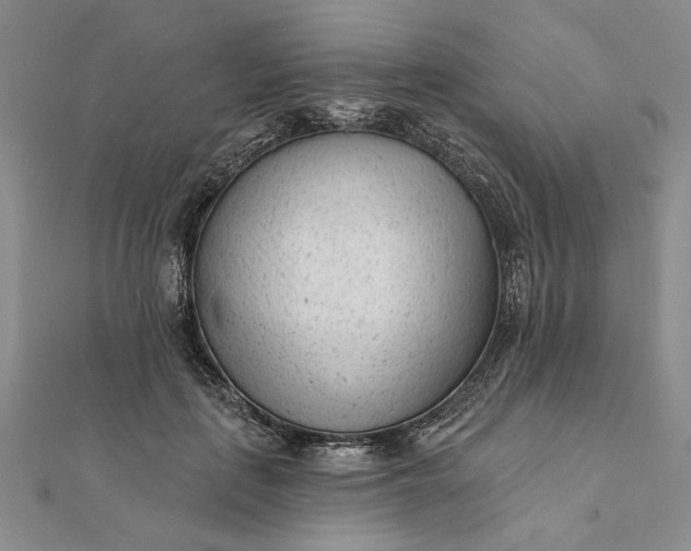 X0000111670651200907311159