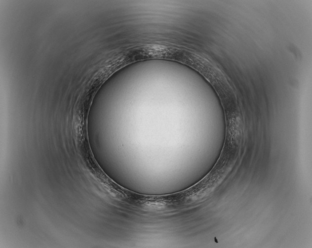 X0000111670653200907311159