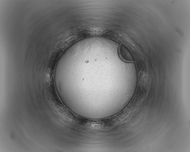 X0000111670655200907311159