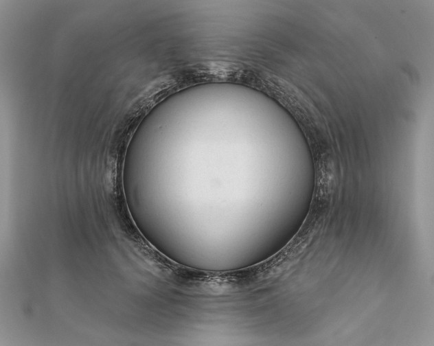 X0000111670656200907311159