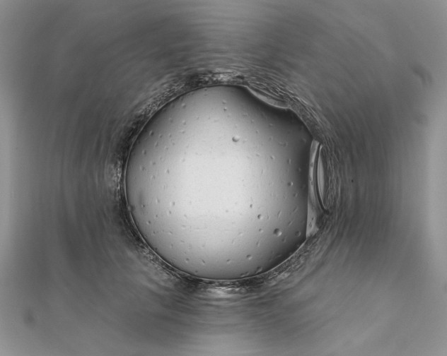 X0000111670657200907311159