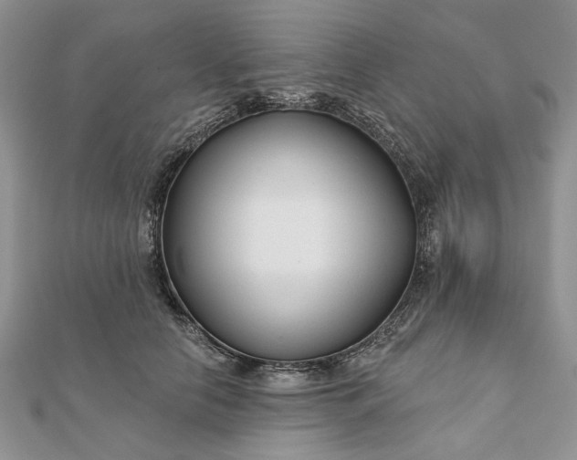 X0000111670658200907311159