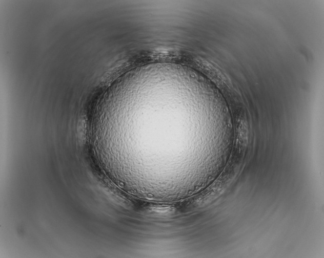 X0000111670659200907311159