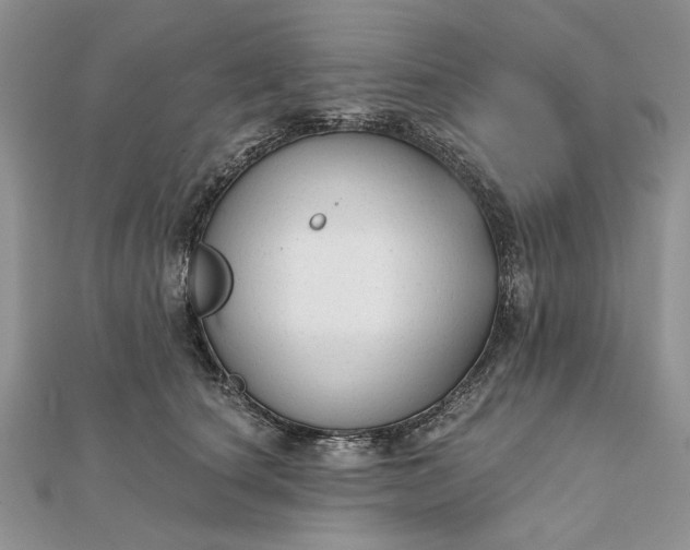 X0000111670660200907311159