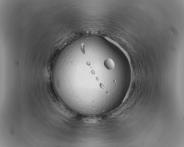 X0000111670661200907311159