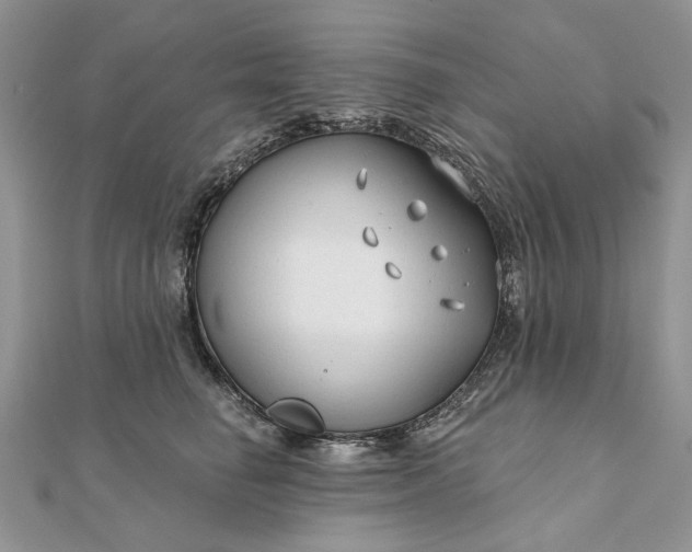 X0000111670662200907311159