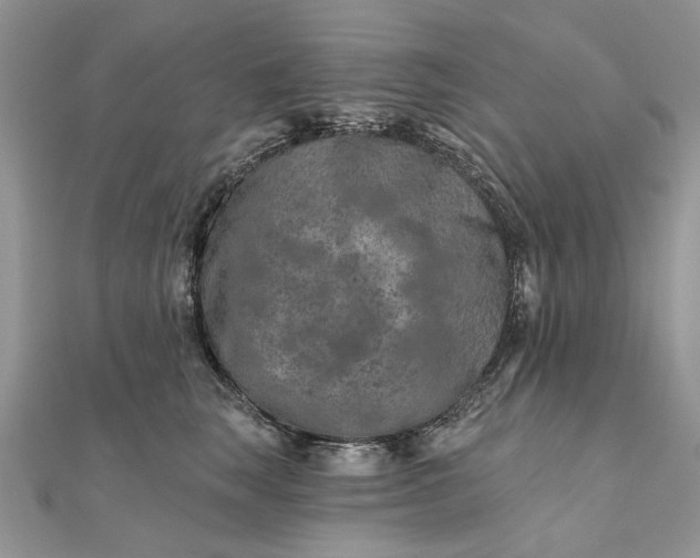 X0000111670663200907311159