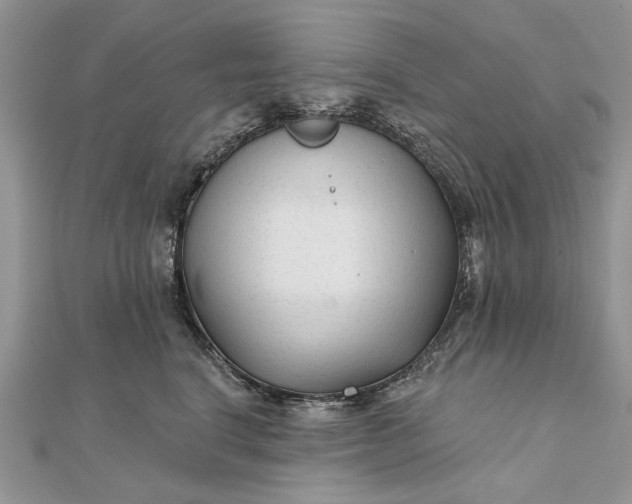 X0000111670664200907311159