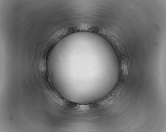 X0000111670665200907311159