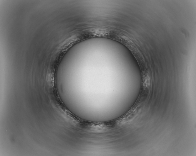 X0000111670666200907311159