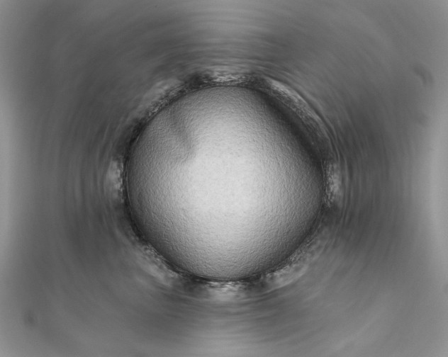 X0000111670667200907311159