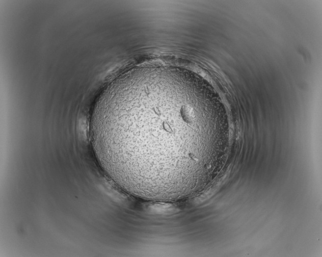 X0000111670669200907311159