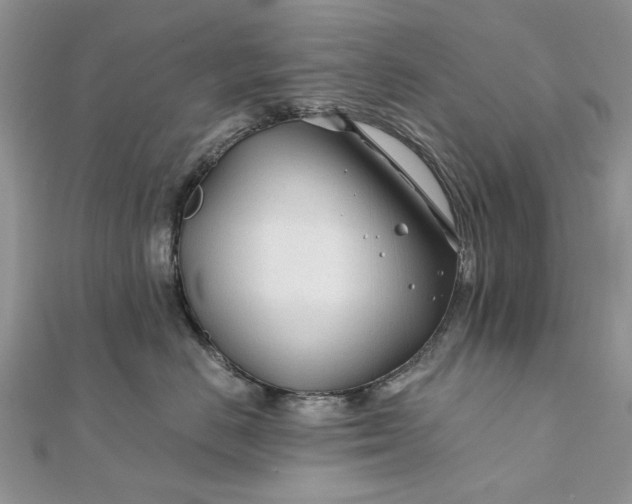 X0000111670670200907311159