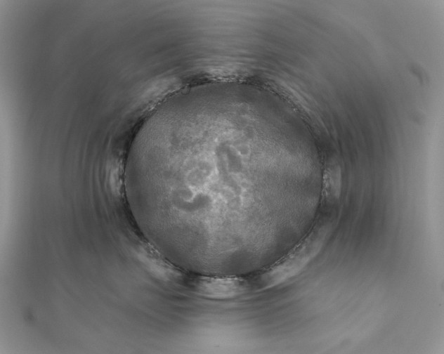 X0000111670671200907311159