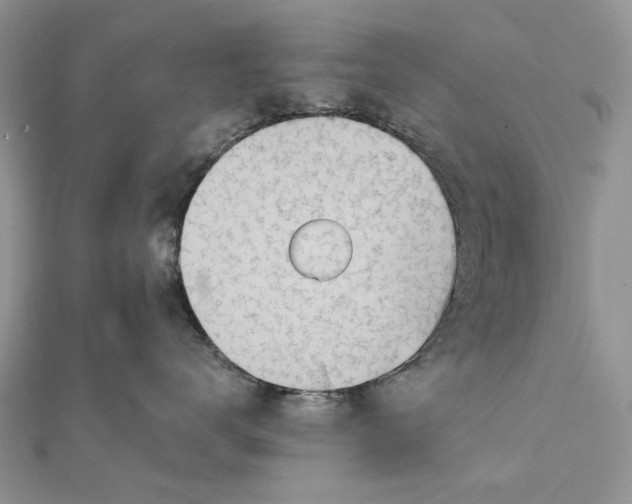 X0000111670672200907311159