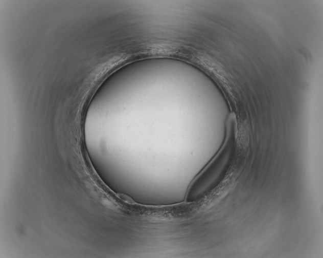 X0000111670673200907311159