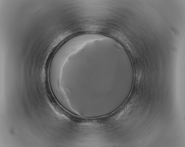 X0000111670674200907311159