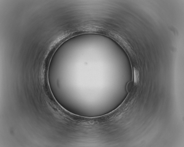 X0000111670675200907311159