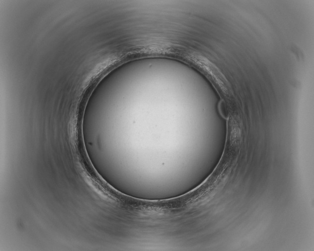 X0000111670677200907311159