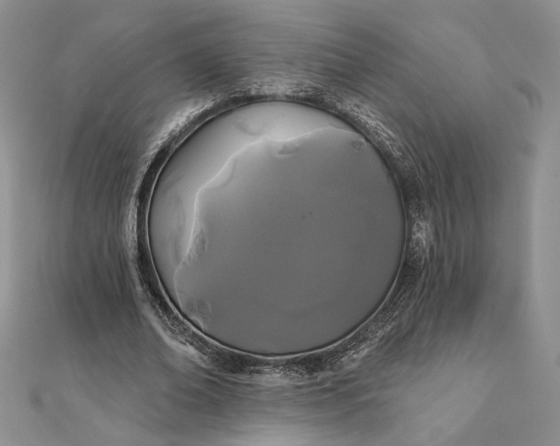 X0000111670678200907311159