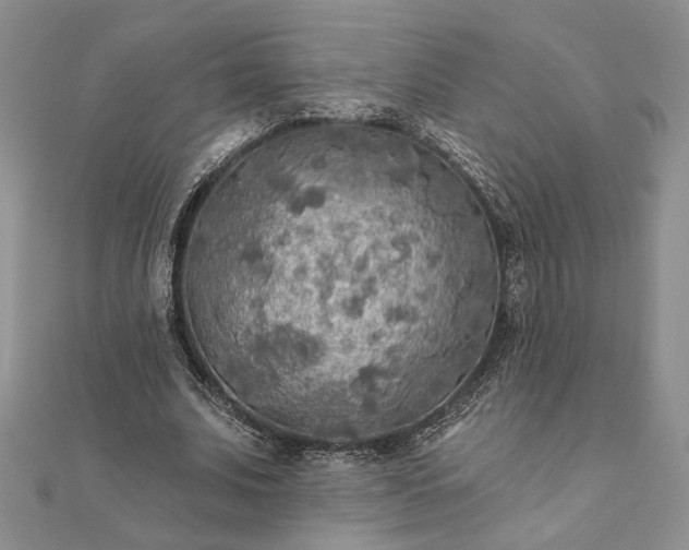 X0000111670679200907311159