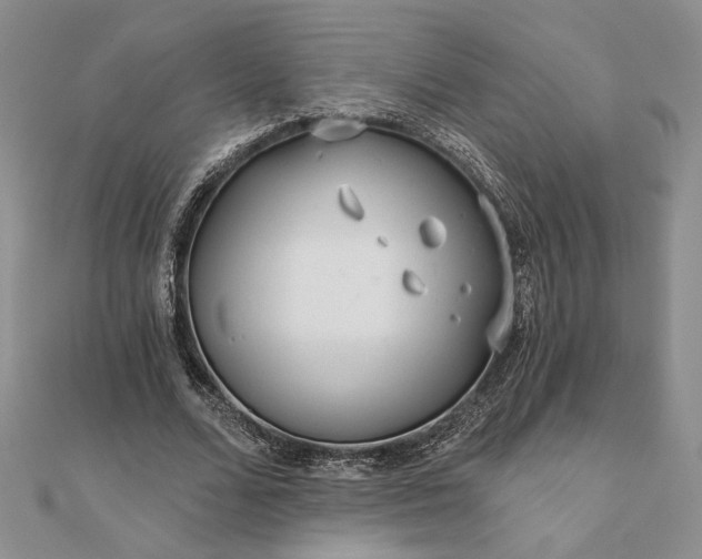 X0000111670680200907311159