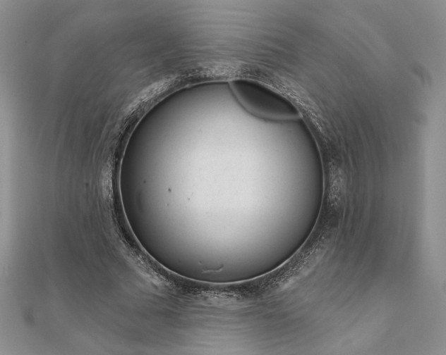 X0000111670681200907311159