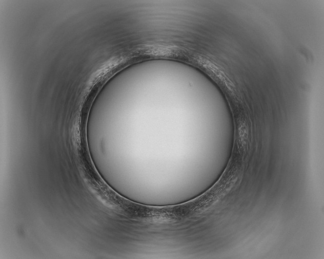 X0000111670682200907311159