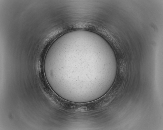 X0000111670683200907311159